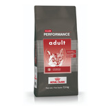 Royal Canin Performance Gato Adulto X 7,5 Kg  - Drovenort -