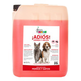 Repelente Para Perros Y Gatos 20l ¡no Más Orines Y Heces!