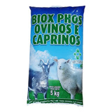 Sal Carneiro Ovelha Ovinos Caprinos Suplemento Mineral 5kg