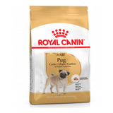 Royal Canin Pug Adulto 3 Kg