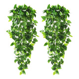 2 Plantas Artificiales Colgantes For Pared E Interior 2024