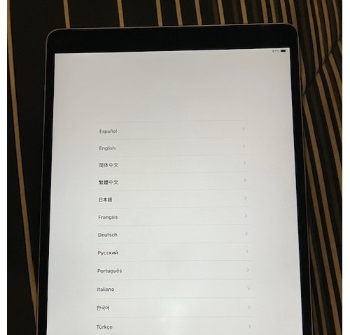 iPad 7