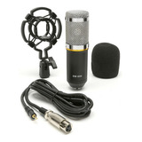 Microfono Profesional Youtube Set Estudio Video Juegos Bm800 Plateado