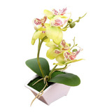 Seda Artificial Orquídea Bonsai Vintage Falsa Phalaenopsis