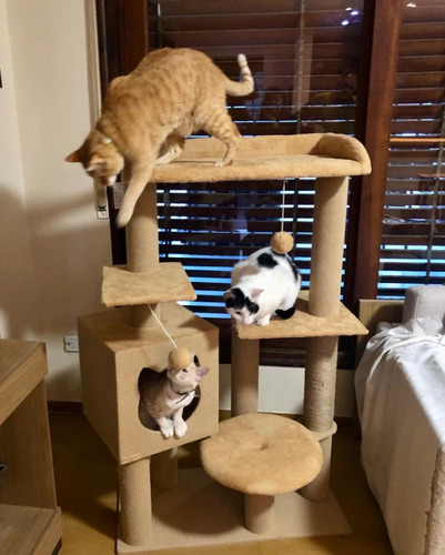 Torre, Rascador, Gimnasio Para Gato Large- Helena.cats