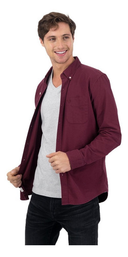 Camisa Oxford Con Botones Slim Fit American Eagle | Envío gratis