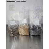 Pack Sustrato Cultivo Hongos. 1l