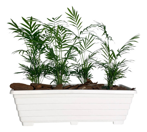 Jardineira Floreira 50cm De Plástico Para Plantas E Flores Cor Branco