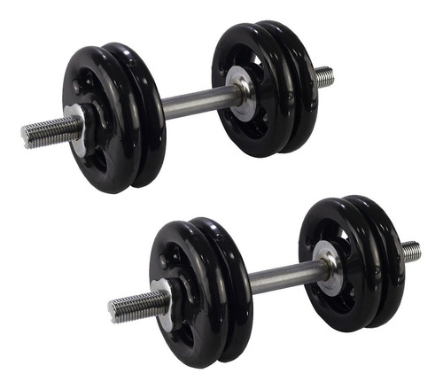 2 Halteres 40cm+24kg Anilhas Pin 4x3kg 4x2kg 4x1kg Academia Cor Preto