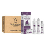 Kit Capilar Atacado Ameixa Negra Bio Instinto - 6 Unidades