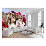 Papel De Parede 3d Animais Cachorros Yorkshire 3m² Anm363