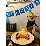 Kit De Cumpleaños Para Perro
