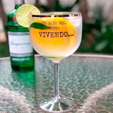 15 Taças De Gin Acrílico Personalizada Promoção C/ Borda