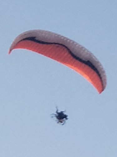 Parapente Vela Sol Prymus 4 Talle L - Año 2015