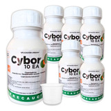 6pz Veneno Cucarachas Arañas Mata Chinches Cybor 10ea 250ml