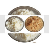 Kefir Leite, Água, Caspian,  Frete Livre