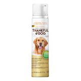 Shampoo En Seco Thankful Dog 240ml