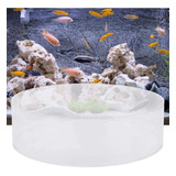 Hffheer Coral Viewer Fish Tank Acrílico Coral Observar Lense