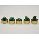 5 Velas Decorativa Cactus Suculentas Aromaterapia