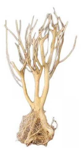 Z 2x Acuario Driftwood Natural Rama Árbol Planta Tocón