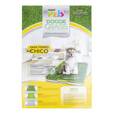 Tapete Entrenador Doggie Grass 3 Capas Chico Para Perro