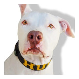 Coleira Fit Personalizada Nome Cachorro Grande Pitbull  