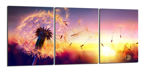 Cuadro Flor Panadero Dandelion Diente Leon Triptico 90x40cm