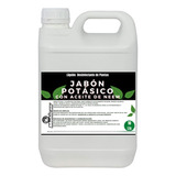 Jabon Potásico Liquido Con Aceite De Neem 10 Lts