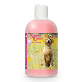 El Drama Blissful Perro Dq-golden-16oz Golden Retriever Quee