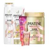 Pantene Colágeno Hidrata Resgata E Recarga + Elixir Oil