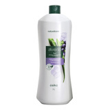 Shampoo Alviento 3 En 1 Hidratación Y Protección By Ésika