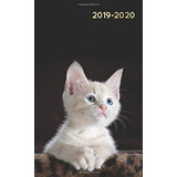 20192020 Twoyear Monthly Pocket Planner | Phone Book + Noteb