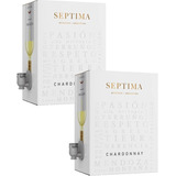 Bag In Box Septima Chardonnay 3 Lts X2 - Oferta Celler