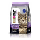 Concentrado Gato Br For Cat Pure Adulto Castrado 1kg