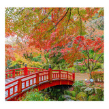 Papel De Parede Japonês Jardim Sakura Ponte Sala Painel 425