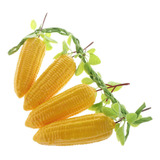Pantalla Decorativa De Muestras De Alimentos|=|maíz