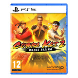 Cobra Kai 2 Dojos Rising Ps5 Juego Físico