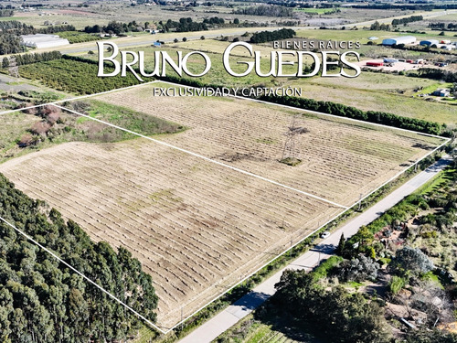 Chacra En Venta Paso De La Arena - Imagen 2