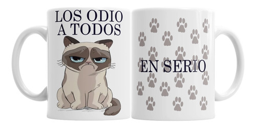 Tazas De Ceramica No Me Hables En Serio Gato