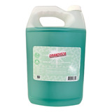 Jabón Líquido Para Manos Aroma Menta 4 L Grandioza Refill