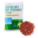 Abono Cloruro De Potasio Kcl Engruese Cuaje Fertilizante X K