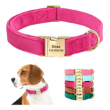 Collar De Terciopelo Acolchado Para Perros + Grabado