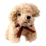 O 12 Cm De Simulación De Perro Caniche, Peluche, Muñeco De P