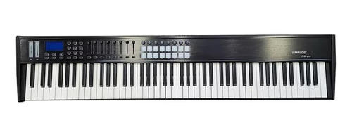 Controlador Midi P 88 Pro Teclas Semipesadas Tipo Piano