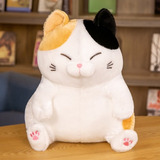 Gato Grande Kawaii Peluche