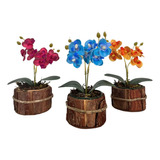 3 Mini Arranjo De Orquídeas Permanentes Em Vaso De Madeira