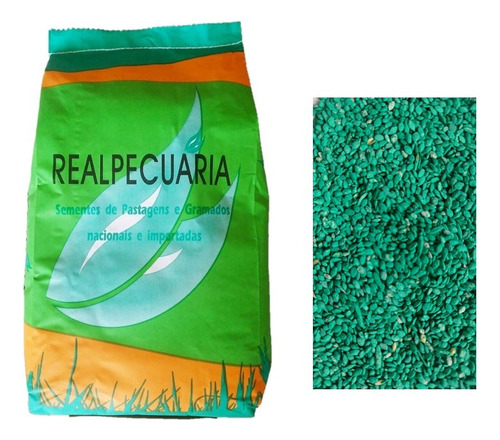 Sementes De Grama Pensacola Para 400 M2 (2 Kg)