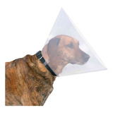 Collar Veterinario Perros Pequeños Talle S-m Importado