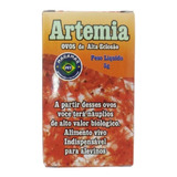 Ovos De Artemia De Alta Eclosao !  5g