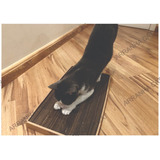 Arranhador Gato + Brinde Ping Cat (brinquedo Pet) Novidade!!